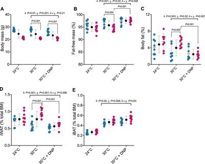 Protonophore treatment augments energy expenditure in mice housed at thermoneutrality